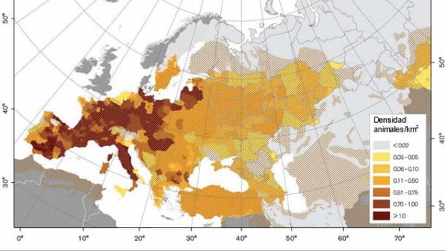 Densidad de jabalís en Europa