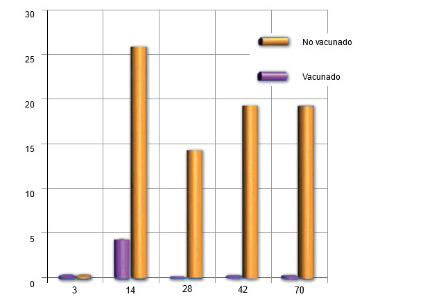 Reaislamento de Pasteurella multocida en lechones de cerdas vacunadas