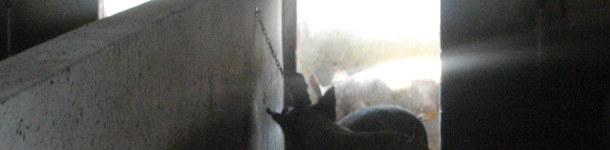 Material manipulable