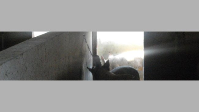 Material manipulable