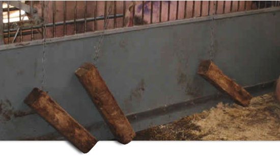 Material manipulable en el corral.