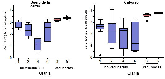 Niveles de anticuerpos IgG específicos para PCV2 medidos mediante ELISA en suero y calostro de cerdas