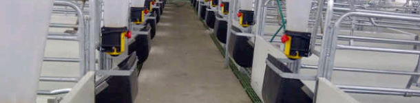 Ca&iacute;da lenta con sistema de activaci&oacute;n