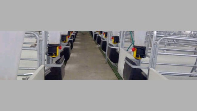 Caída lenta con sistema de activación