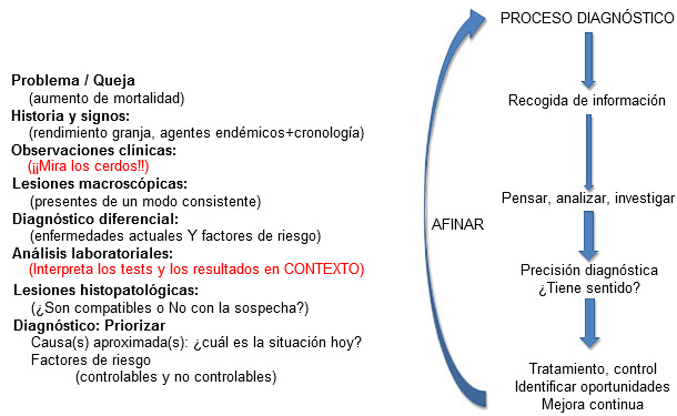 "Alineamiento" diagnóstico: Toda la información debe tener sentido.