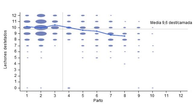 Número de destetados por parto en los 6 meses anteriores