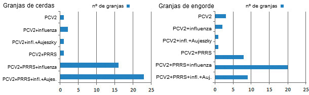 Co-seropositividad en cerdos