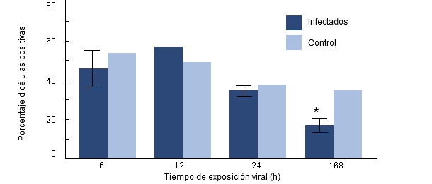 Porcentaje de fagocitosis de H parasuis por macrófagos alveolares porcinos recogidos de cerdos previamente infectados por PRRSv