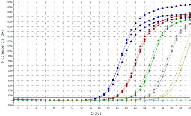 Lotes de amplificación