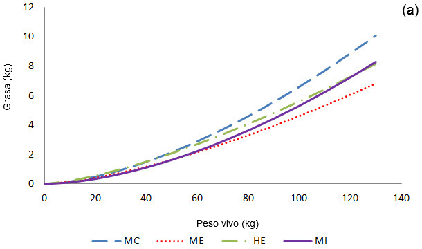 Crecimiento alométrico del tejido graso