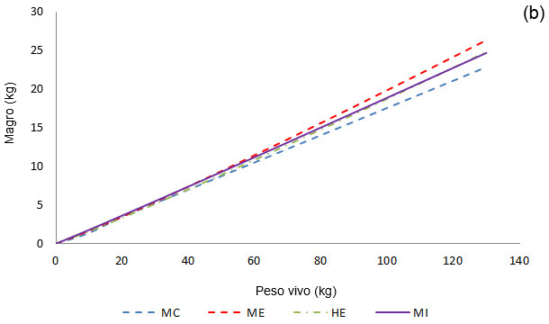 Crecimiento alométrico del tejido graso