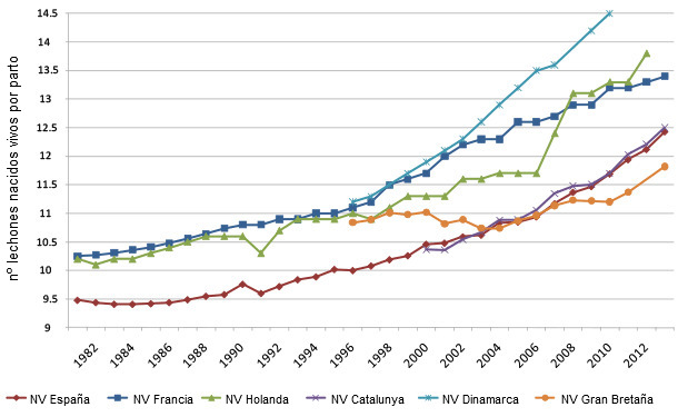 Evolución del número de lechones nacidos por parto en diversos países