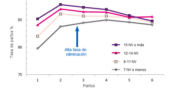 Producción de la vida de la cerda en función de los lechones NV en el primer parto