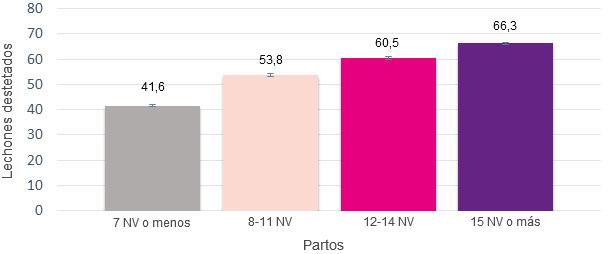 Producción de la vida de la cerda en función de los lechones NV en el primer parto