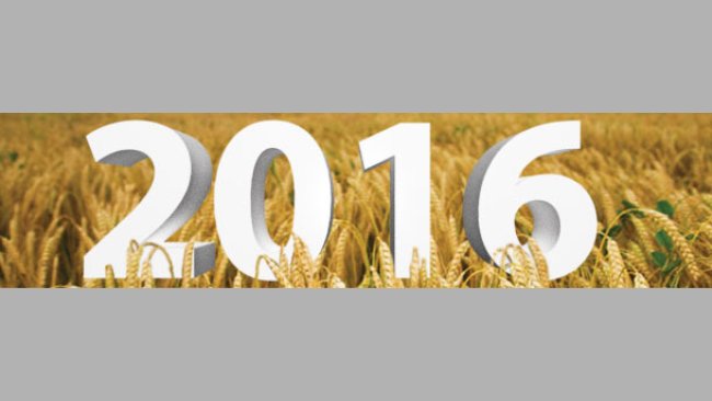 2016, todo el año por delante