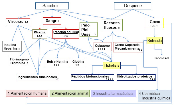 Subproductos del cerdo