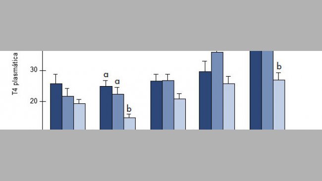 Influencia de la temperatura y el consumo de pienso sobre las concentraciones plasmáticas de T3 