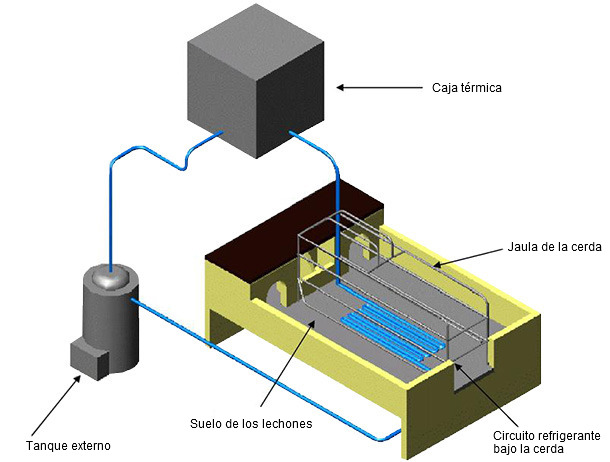 Suelo refrigerante para cerdas