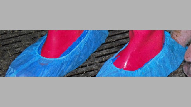 Cubrezapatos