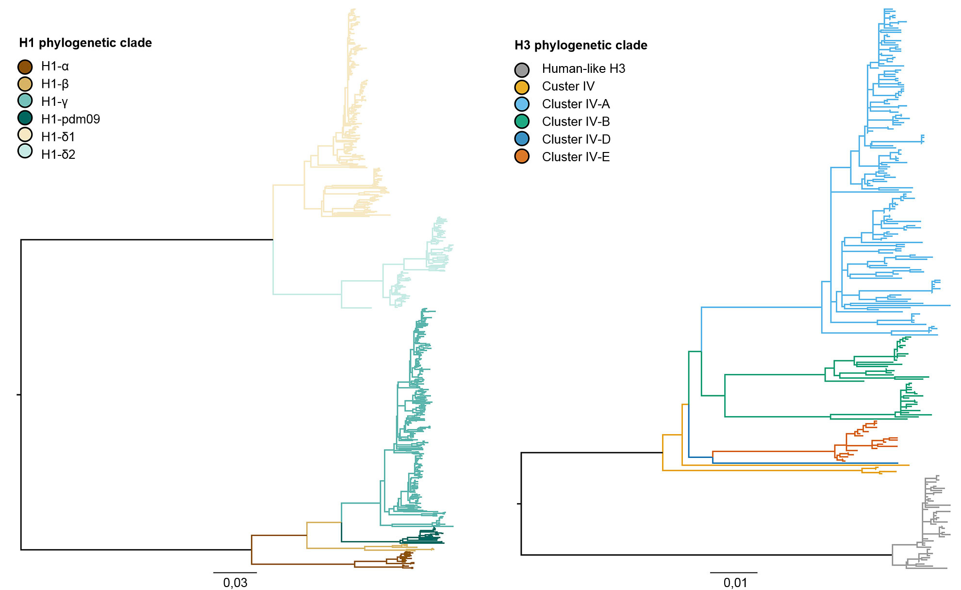 Árbol filogenético que describe las relaciones genéticas entre secuencias génicas de la hemaglutinina de la influenza A porcina H1 y H3 de 2015 generadas usando métodos de máxima verosimilitud