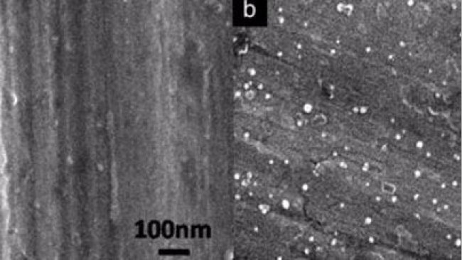 Figura 2. Imagen de las superficies en SEM (Scanning Electron Microscopy). (A) Hoja de acero inoxidable en blanco. (B) Hoja de acero inoxidable-AgNPS (nanopartículas de plata) (Limei Chen et al, 2010)
