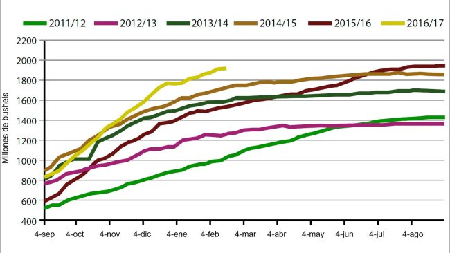 Gráfico 3. Volumen semanal de exportaciones de haba de soja USA en la campaña actual y las cinco anteriores (millones de bushels). Fuente: USDA