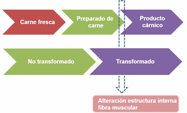 Preparado&nbsp;de carne y&nbsp;producto&nbsp;c&aacute;rnico: la evaluaci&oacute;n del grado&nbsp;de transformaci&oacute;n de la fibra muscular en la&nbsp;superficie del corte&nbsp;establece&nbsp;su&nbsp;clasificaci&oacute;n
