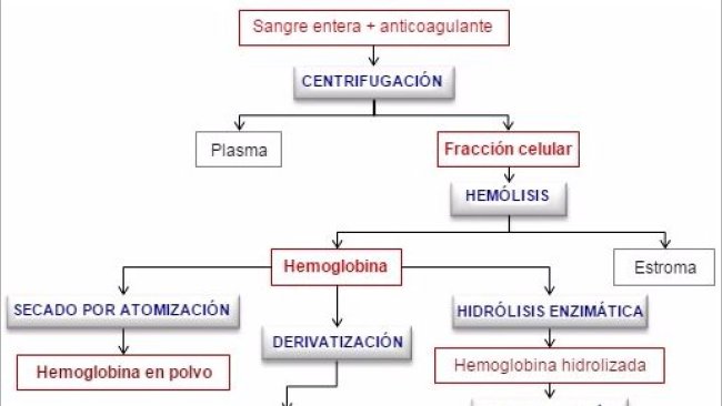 Principales productos derivados de la fracción celular de la sangre de matadero
