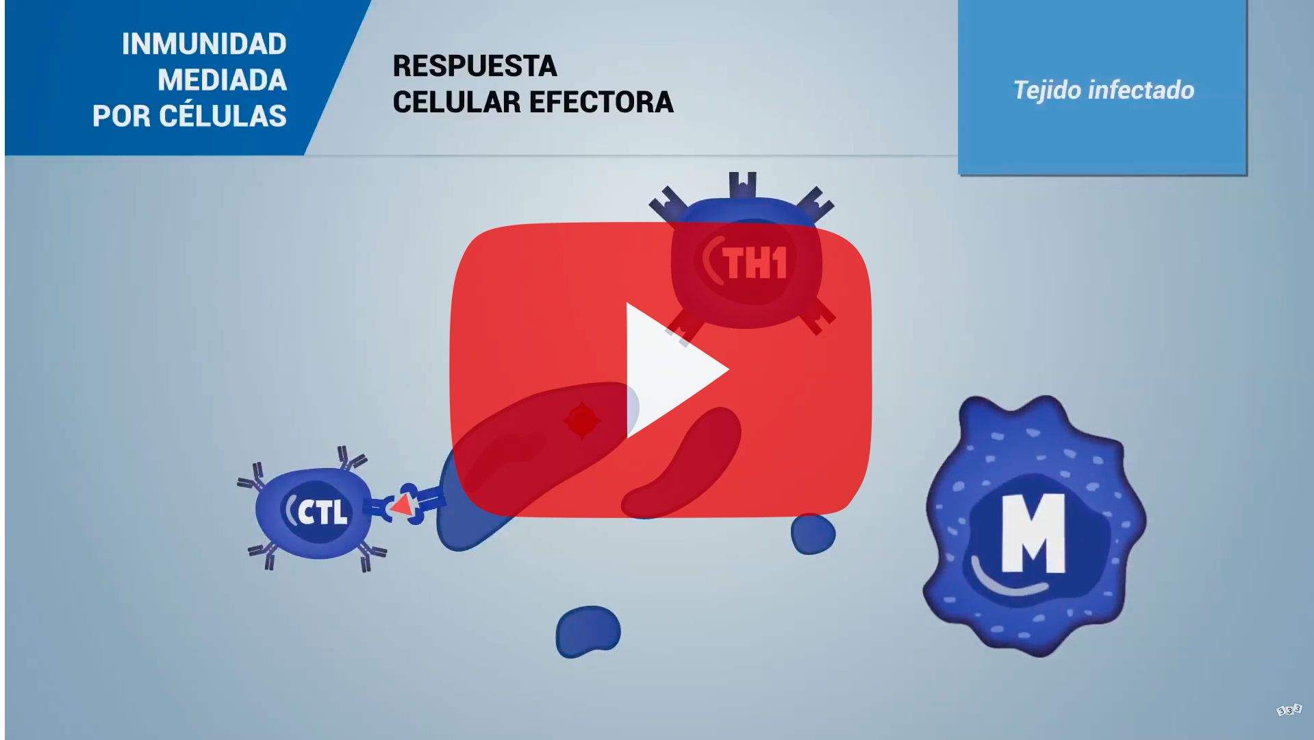 Inmunidad mediada por c&eacute;lulas