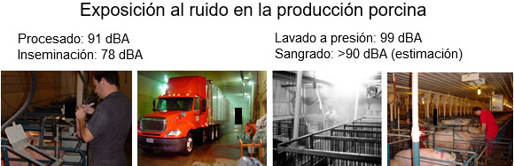 Exposición al ruido en la producción porcina