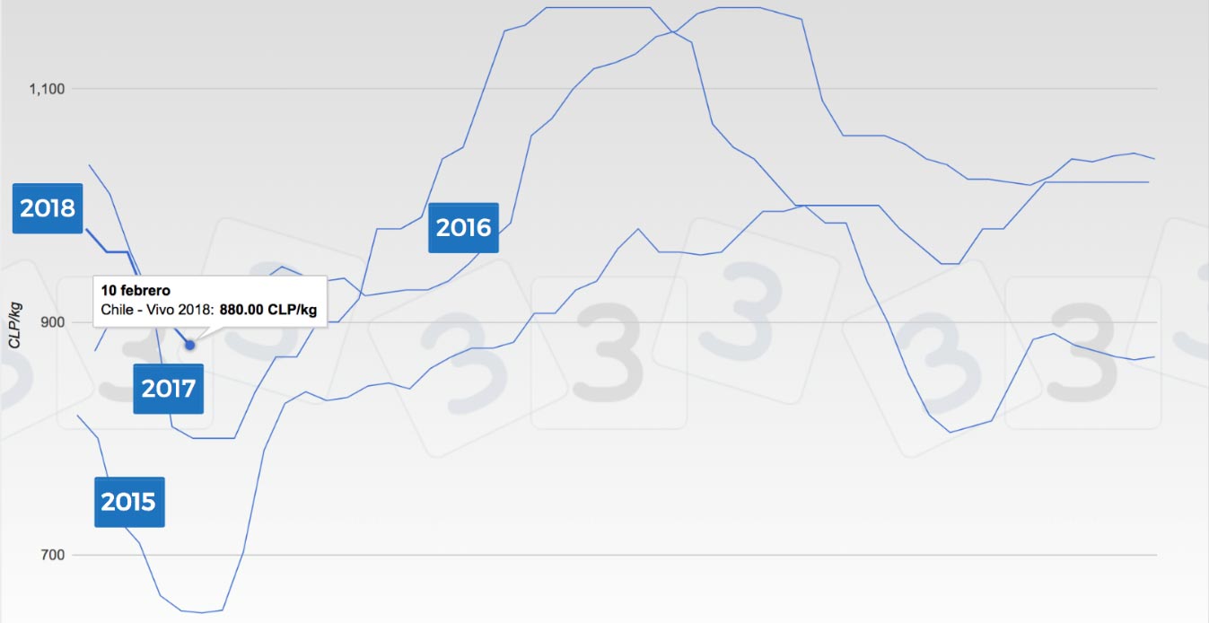 Cotizaciones del cerdo desde el 2015 en Chile