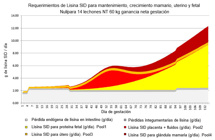 Gráfica 1. Partición de las necesidades de lisina SID, modelización basada en NRC 2012.