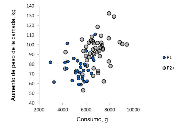 Relación entre el consumo medio diario de la cerda durante la lactación y la ganancia de la camada