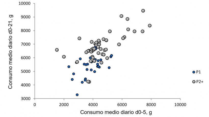 Ilustración 1. Relación entre el consumo medio diario de la cerda los primeros cinco días de lactación con respecto al consumo durante el resto de la lactación. (Nutreco R & D, 2015)