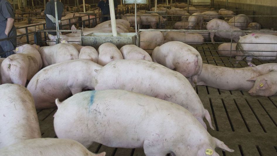 Foto 1. Sala para reemplazo en Norte Am&eacute;rica. Cortes&iacute;a de la&nbsp; Dr. Maria Jose Clavijo
