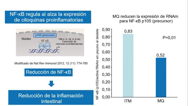 Figura 2. La reducci&oacute;n del factor nuclear NF-&kappa;B reduce la inflamaci&oacute;n intestinal.
