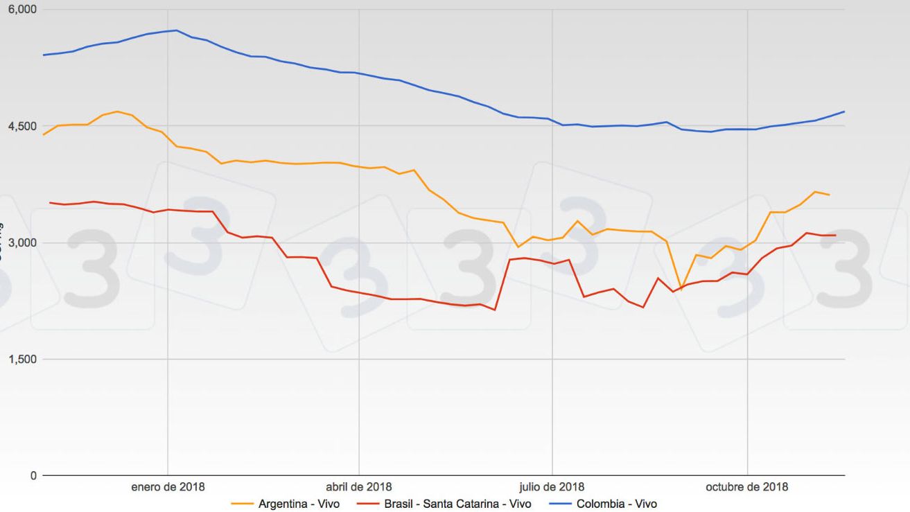 Grafica 1. Evoluci&oacute;n de las cotizaciones de Argentina, Brasil y Colombia en 2018.
