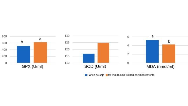 Gráfico 1: La alimentación con soja tratada enzimáticamente con un contenido bajo en antígeno de soja dio lugar a mayores concentrationes plasmáticas de enzimas antioxidantes y una reducción del malonil dialdehído (MDA), un marcador del daño oxidativo, el día 14 después del destete en comparación con una harina de soja con un elevado nivel de antígeno. (Ma et al., 2018)