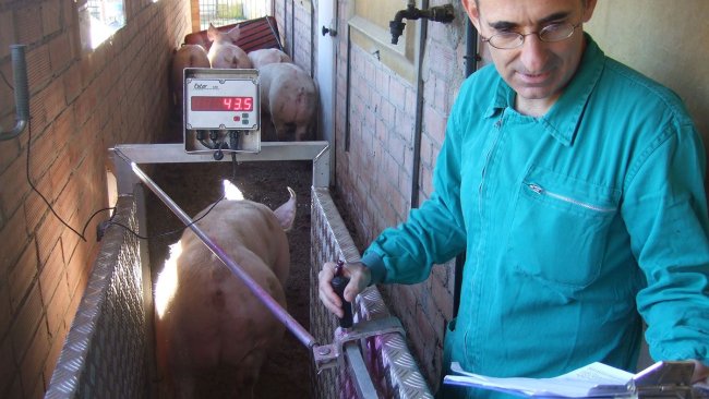 Enric Marco, veterinario de Marco Vetgrup.