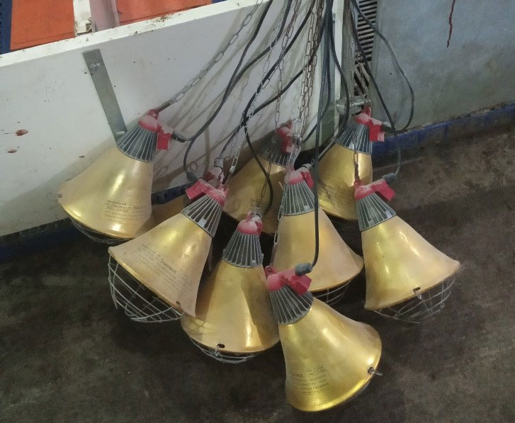Foto 2: L&aacute;mparas de partos almacenadas incorrectamente entre lotes, lo que aumenta el riesgo de da&ntilde;os en las bombillas infrarrojas y las conexiones el&eacute;ctricas (foto cortes&iacute;a de DanAg International, China)
