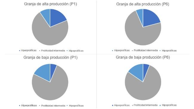 Gráfico 1. Distribución del tipo de cerdas, en parto 1 y 6, categorizados por los tipos de granjas planteados.