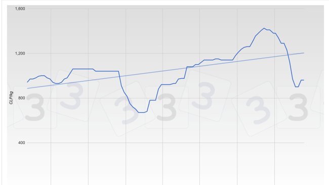 Gráfica 1. Evolución de las cotizaciones del cerdo en Chile durante los últimos meses.