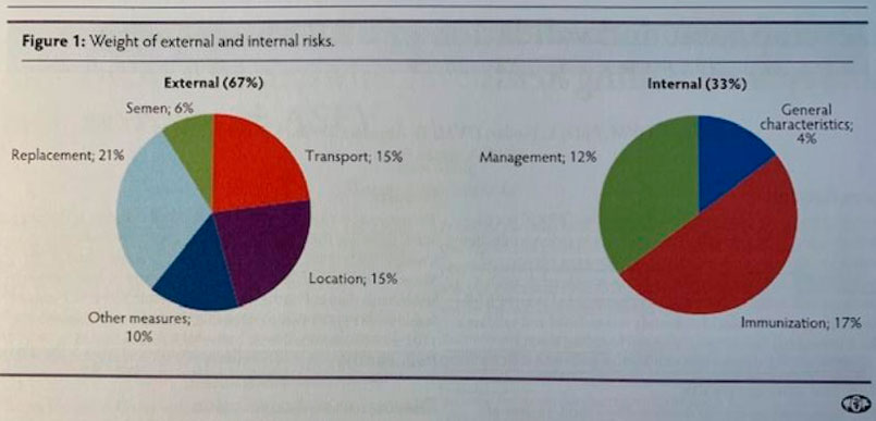 Figura 1. Importancia de los riesgos externos e internos.
