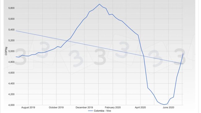 Gráfica 1. Evolución del precio promedio ponderado del cerdo en Colombia durante los últimos 12 meses.