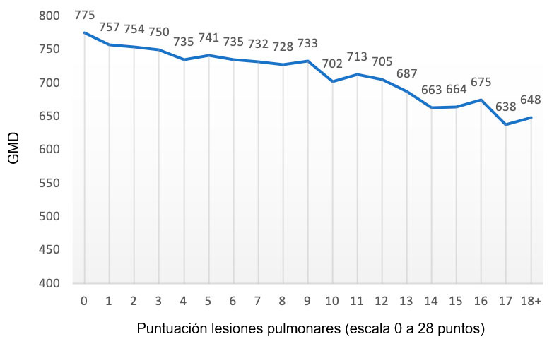 Figura 2: Valor de la GMD (gramos) en función de la puntuación de lesiones pulmonares (escala de 0 a 28 puntos). Adaptado de Pagot et al. (2007).