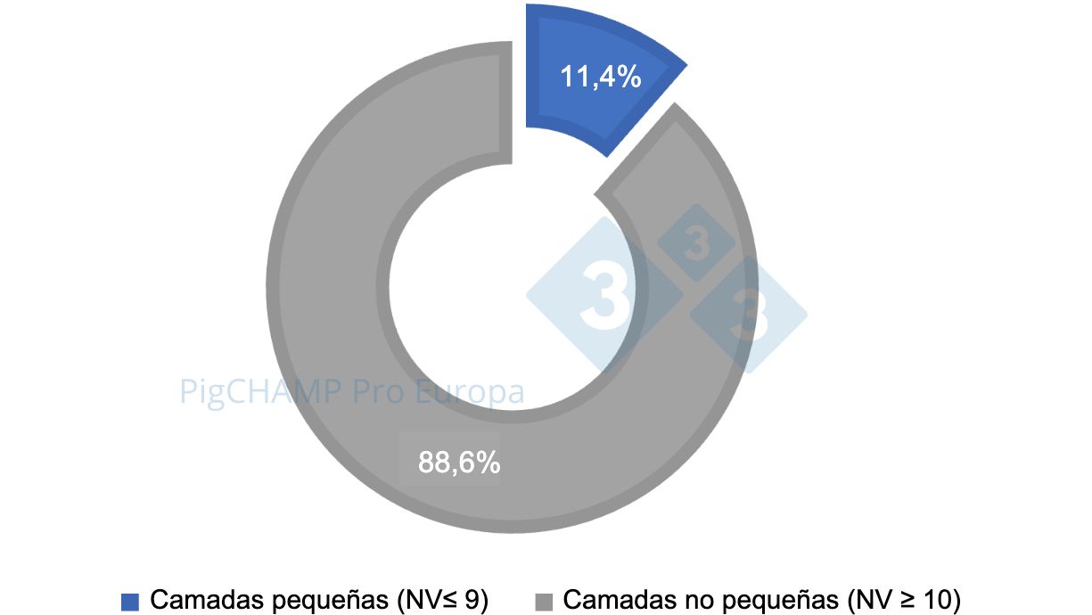 Gr&aacute;fico 1. Distribuci&oacute;n porcentual de las camadas seg&uacute;n tama&ntilde;o, 2018-2019.
