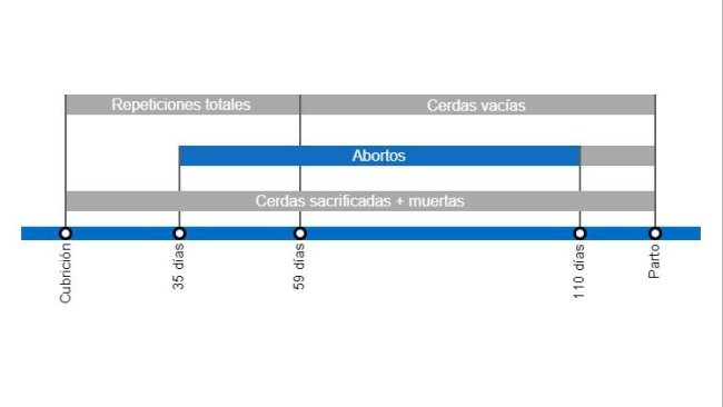 Tipos de pérdidas de gestación que repercuten en una menor tasa de partos, con el detalle de los distintos tipos de repeticiones según en el momento en que se producen.