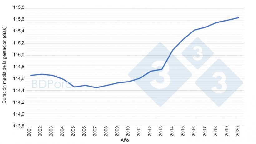 Gráfica 2. Duración media de la gestación de las cerdas en España desde 2001 a 2020. Fuente: BDPorc.