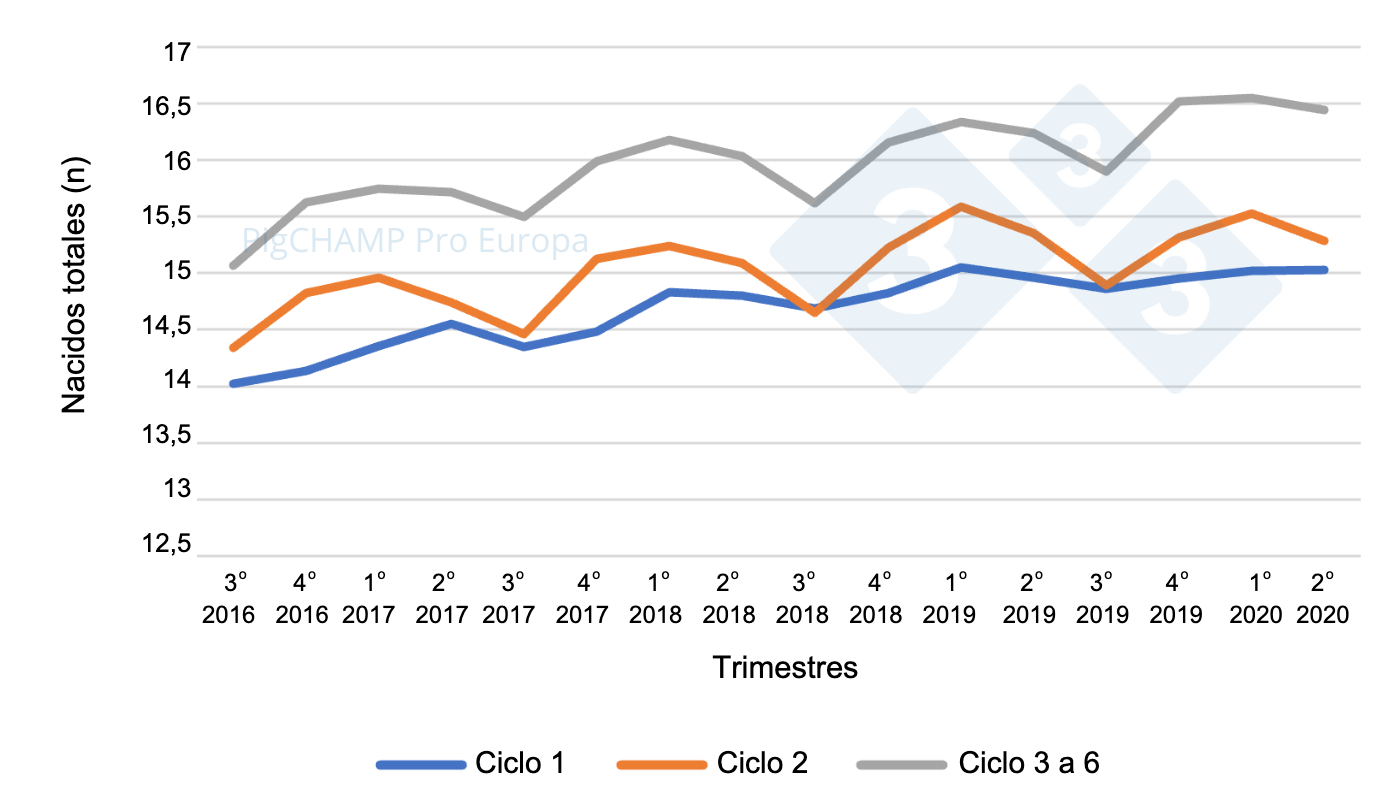 <p>Gr&aacute;fico 5.&nbsp;Prolificidad por ciclo y trimestres de cubriciones, cubriciones periodo Julio 16-Junio 20.</p>
