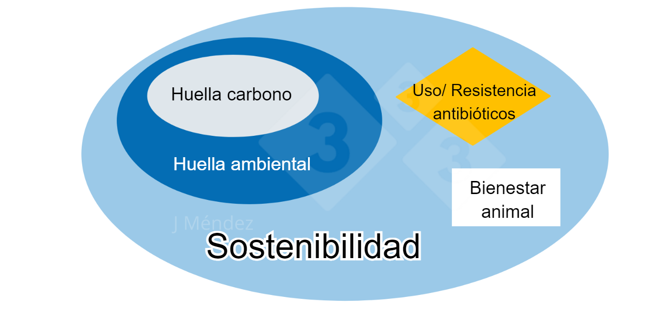 <p>Figura 1. Principales conceptos de sostenibilidad.</p>
